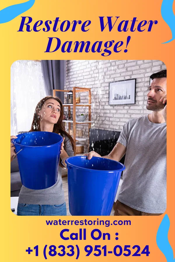 water restoration Flood Cleanup Solutions Woodstown