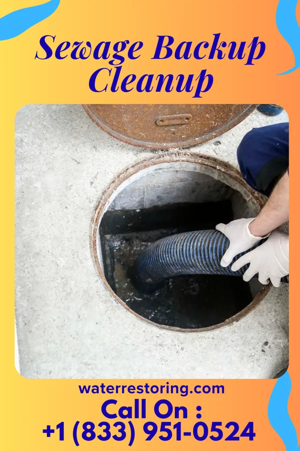 Sewage Backup Cleanup in Woodstown, NJ