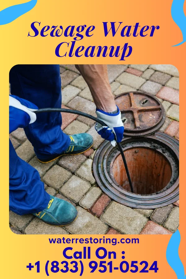 Sewage Water Cleanup in Woodstown, NJ