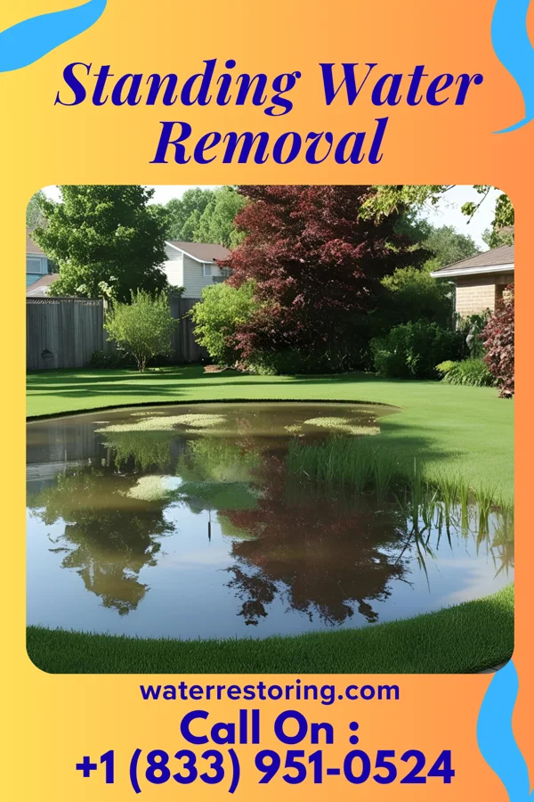 Standing Water Removal in Woodstown, NJ